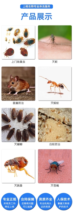 成都社区除四害消杀 成都消杀公司谁家好 成都餐厅驱蟑螂