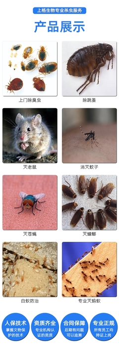 温州pco杀虫,温州杀虫灭鼠公司费用