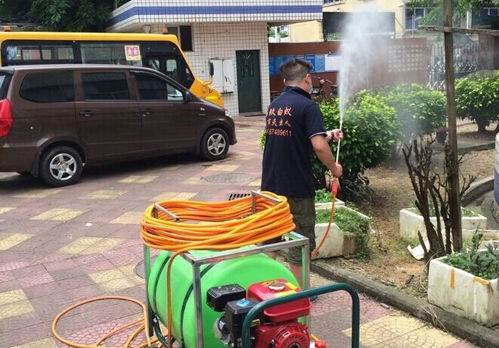 福州白蚁消杀电话 福州白蚁消杀 福州福玖白蚁防治价格