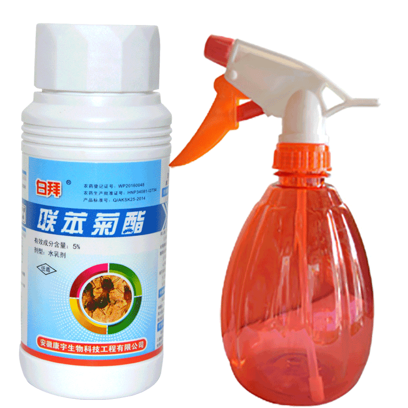 康宇白蚁杀虫剂白拜联苯菊酯木地板板装修用预防白蚁药灭白蚁药剂100ml*瓶 3瓶装包邮配送小壶