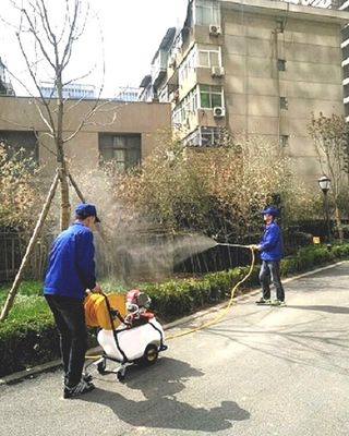 西安专业白蚁防治 西安灭白蚁公司 碧洋专业家庭单位灭白蚁
