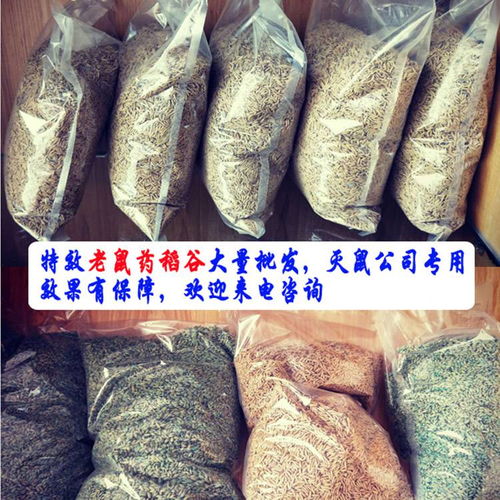 【巨恒灭老鼠效果好的稻谷药灭鼠公司灭鼠专用药老鼠诱杀老鼠防治】- 