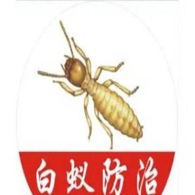 全南白蚁防治所 古建筑灭白蚁 消除隐患-环保无害