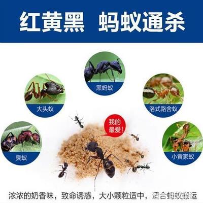 广汉灭鼠,灭蟑螂,白蚁防治公司