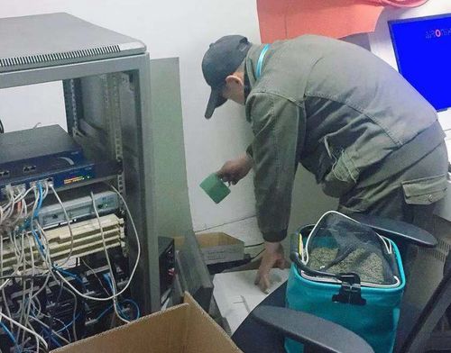 图 西安除虫公司,阎良白蚁防治电话 西安保洁清洗