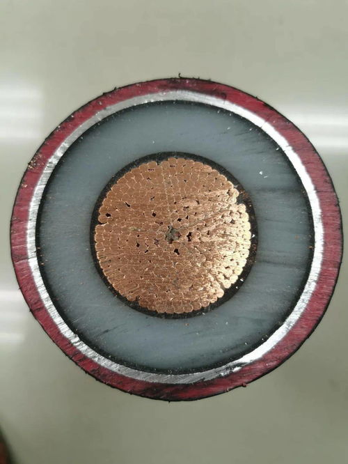 来吧,展示 山东电工电气2021年55项新产品发布