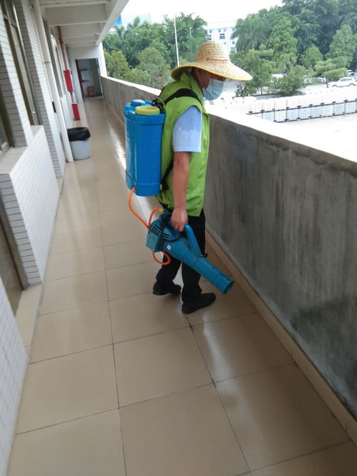 企石工厂宿舍有白蚁怎么办怎么灭白蚁