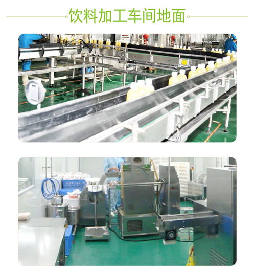 客聪食品厂企业水性聚氨酯砂浆地坪的白蚁防治策略